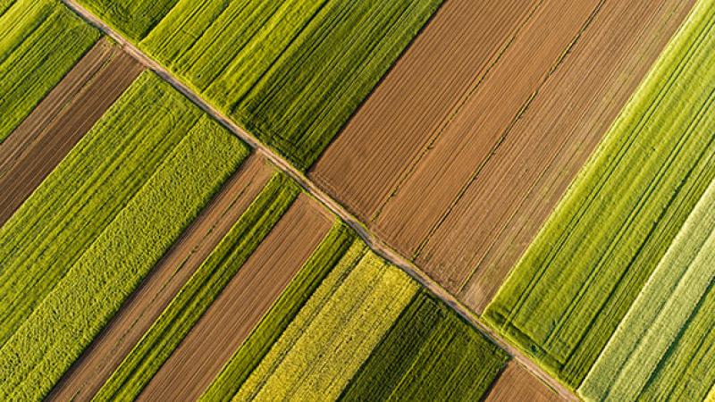 cover-nuveen-farmland.jpg