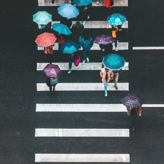 Directly above view of people with umbrellas walking on a crosswalk on a rainy day in the city. Sichuan Province, China