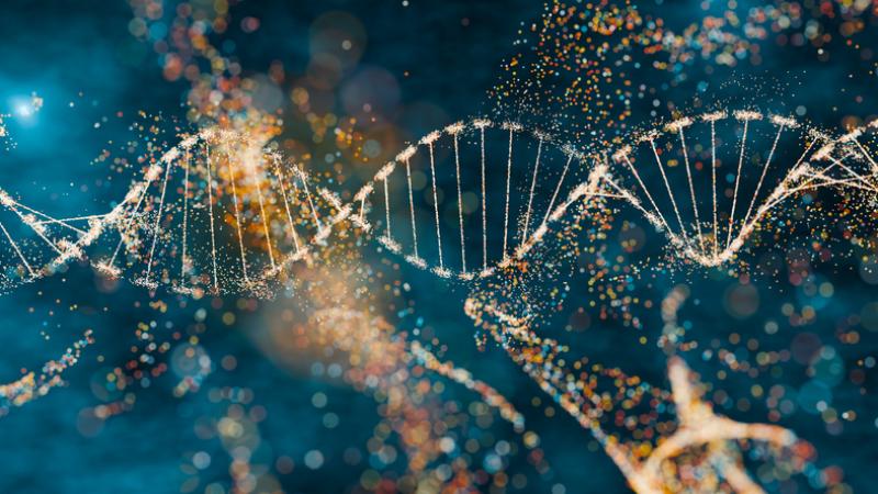 3D illustration of a DNA molecule with sparkling effects symbolizing complexity and genetic diversity. Futuristic concept of genomics, precision medicine, and computational life sciences. H