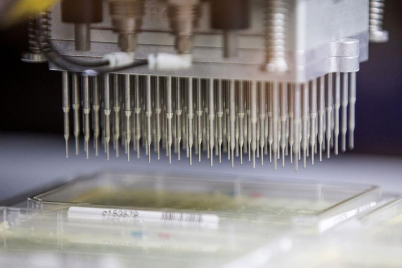 A Ginkgo Bioworks facility in Boston. (Scott Eisen/Bloomberg)