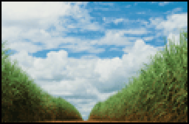 lf-page16.gif