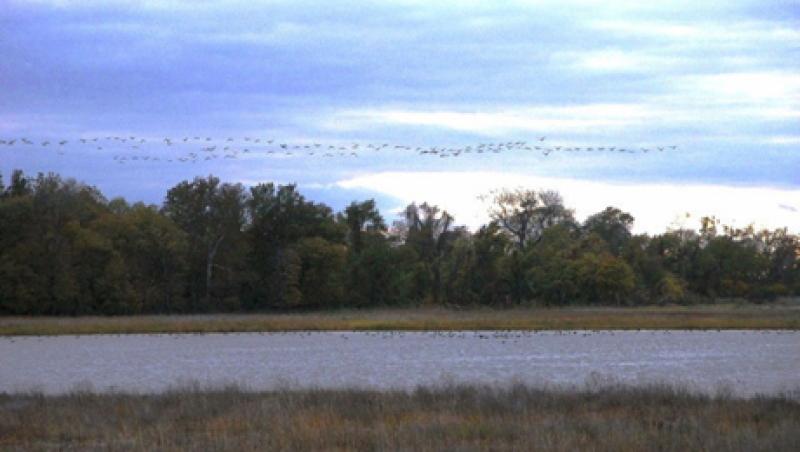 maryland-large.jpg