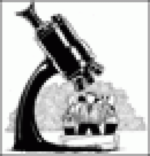 microscopez-sm.gif