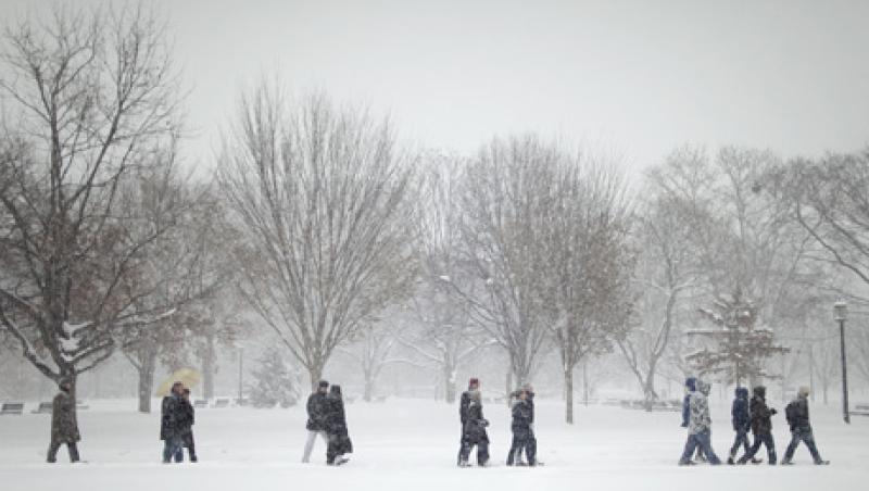snowy-large.jpg