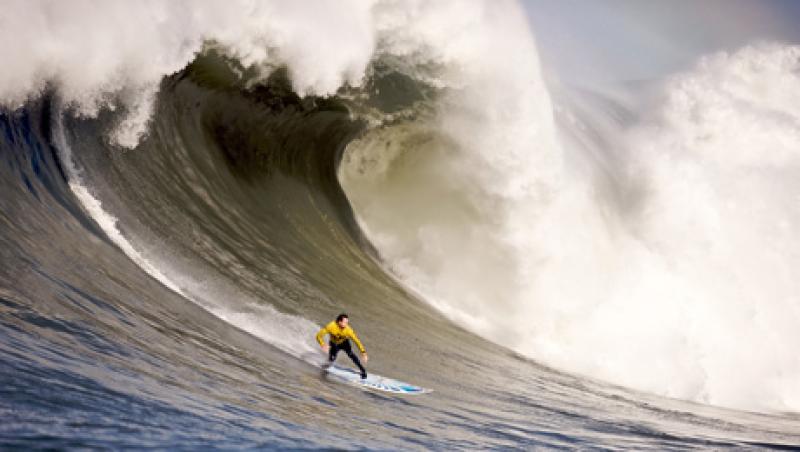 surf-contest-large.jpg