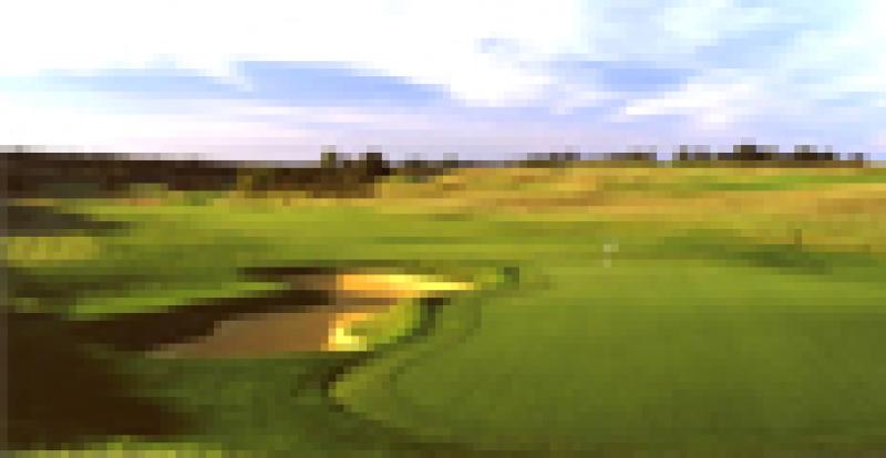 virtual-tees-s.jpg