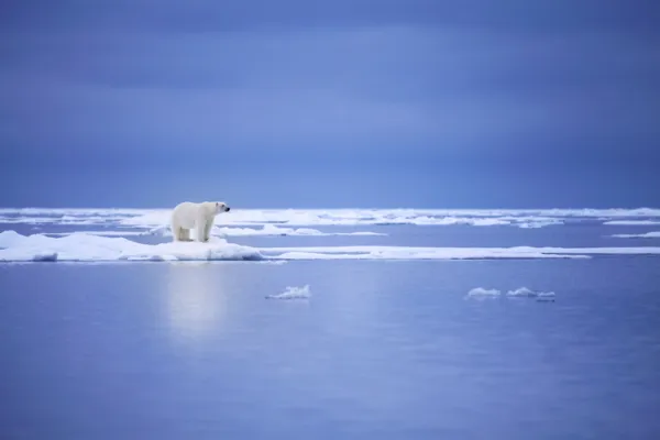 polar melting 