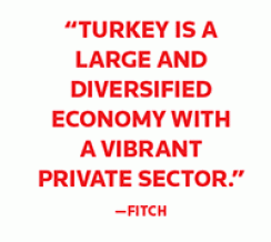 2017-04-turkey-report-quote.gif